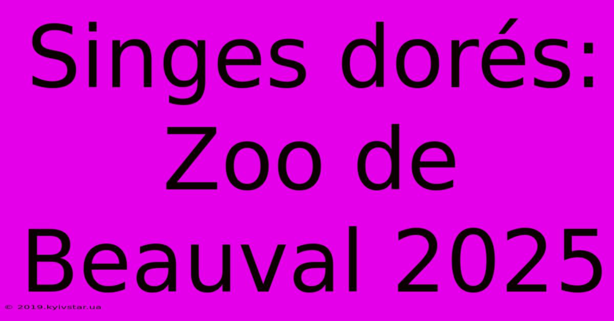 Singes Dorés: Zoo De Beauval 2025