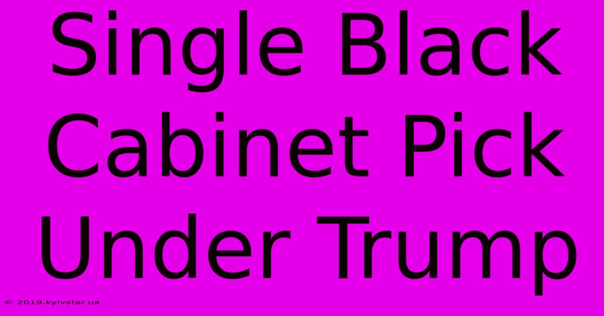 Single Black Cabinet Pick Under Trump