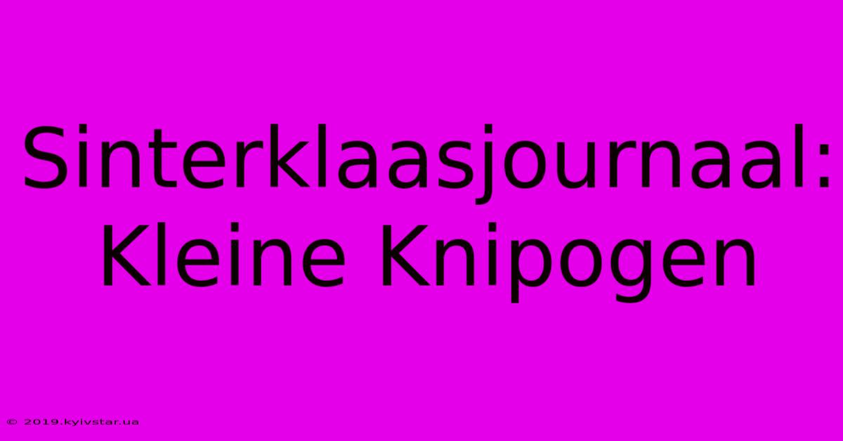 Sinterklaasjournaal: Kleine Knipogen