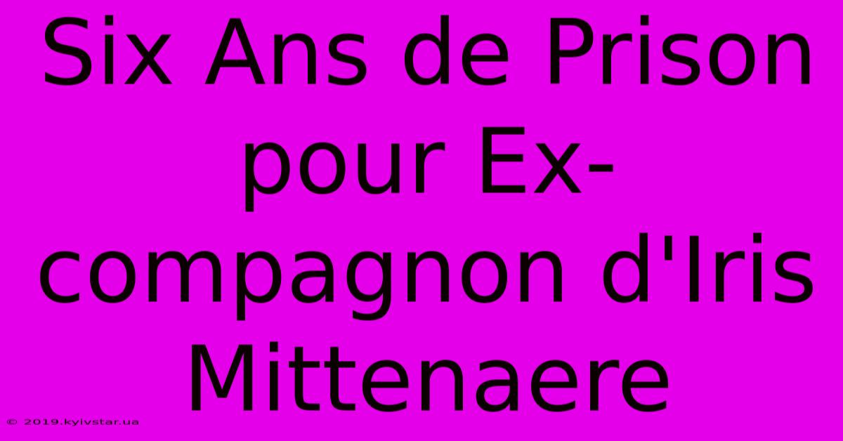 Six Ans De Prison Pour Ex-compagnon D'Iris Mittenaere