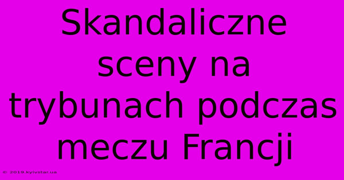 Skandaliczne Sceny Na Trybunach Podczas Meczu Francji