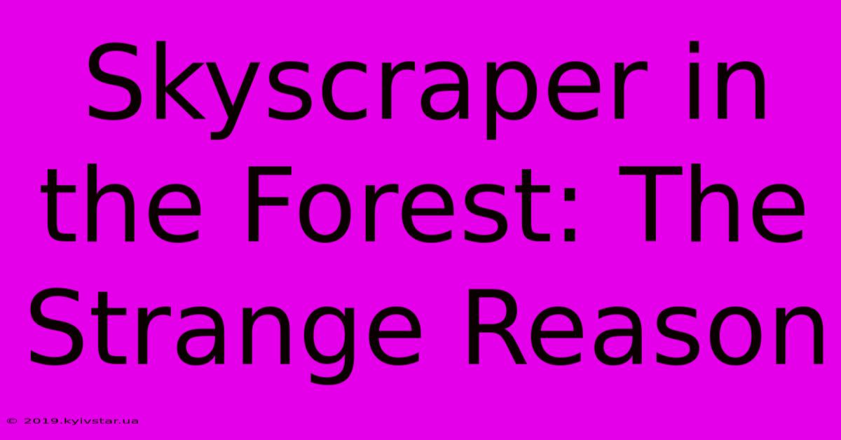 Skyscraper In The Forest: The Strange Reason