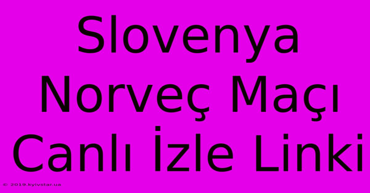 Slovenya Norveç Maçı Canlı İzle Linki 