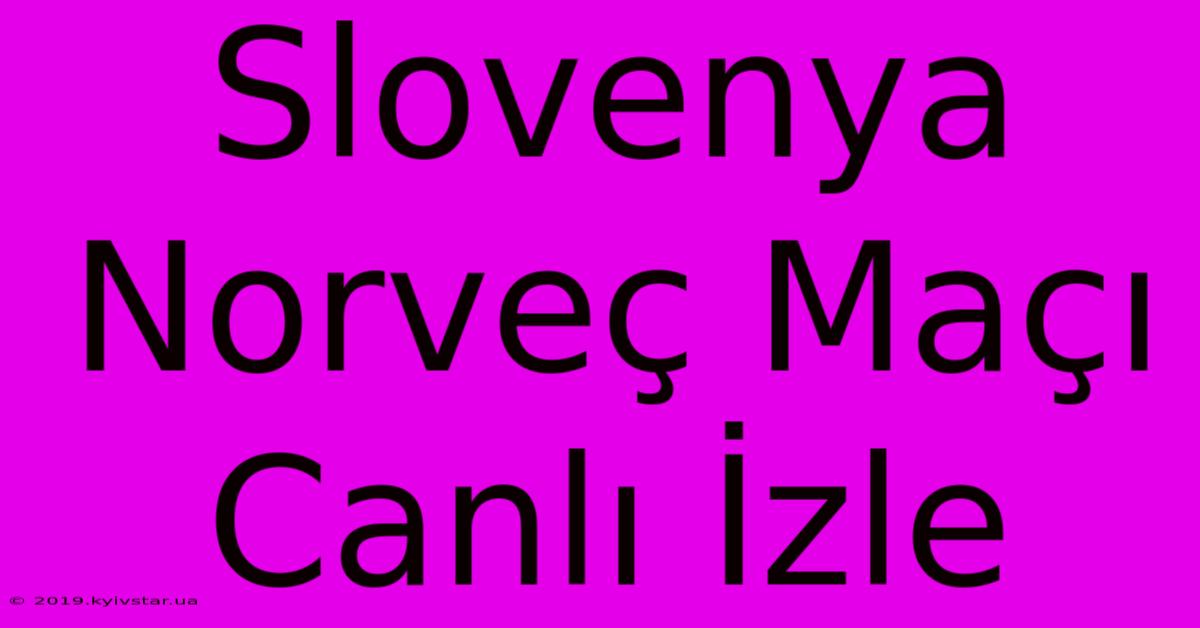 Slovenya Norveç Maçı Canlı İzle