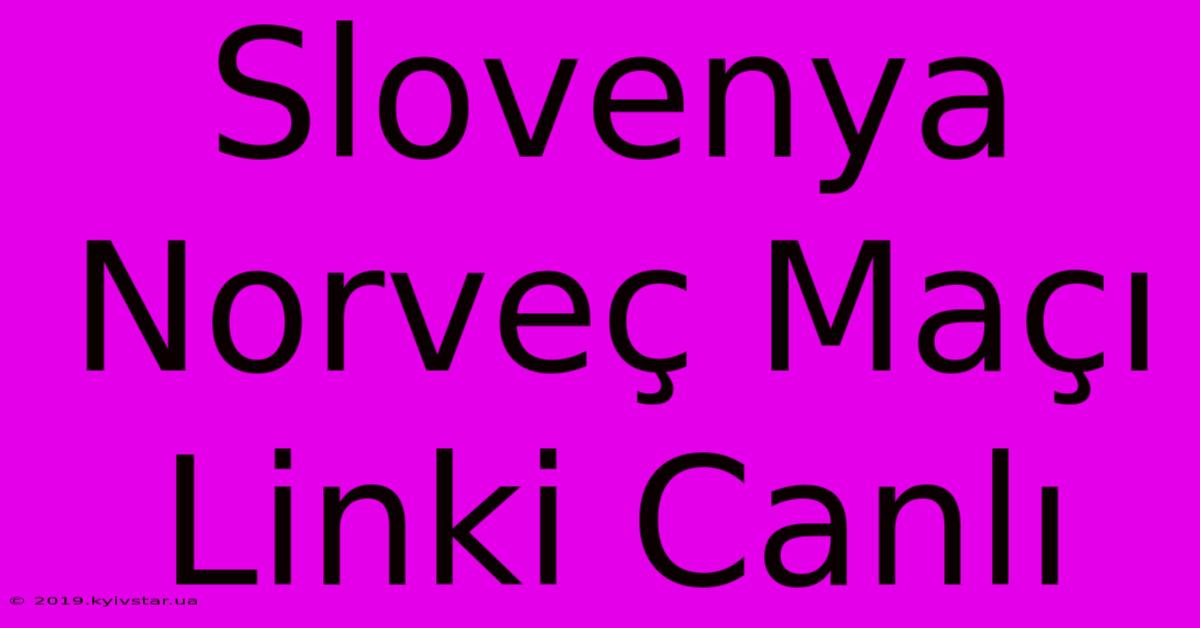 Slovenya Norveç Maçı Linki Canlı