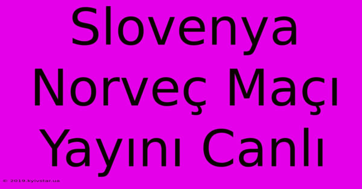 Slovenya Norveç Maçı Yayını Canlı