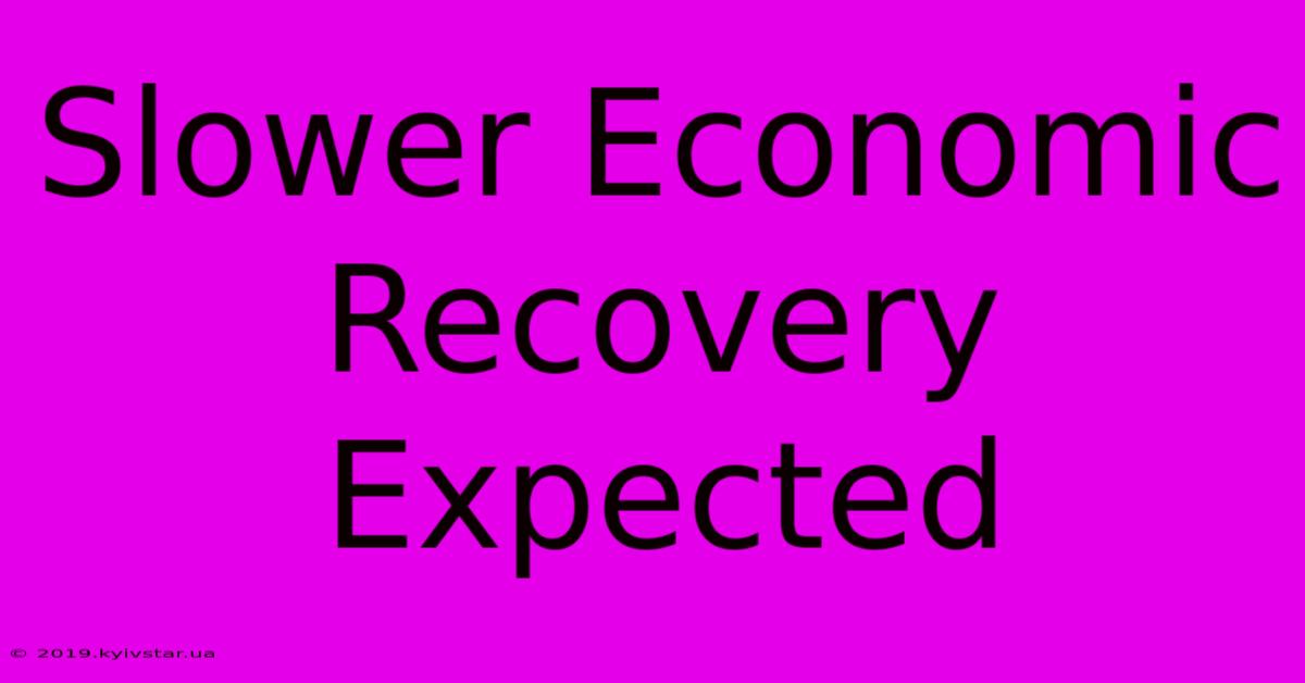 Slower Economic Recovery Expected