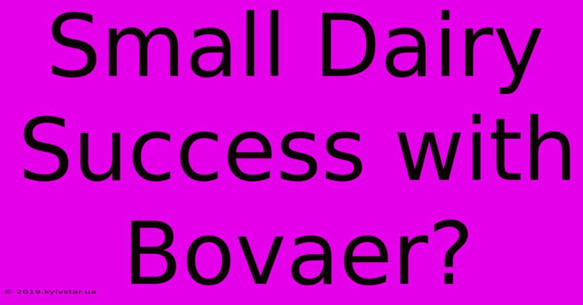 Small Dairy Success With Bovaer?