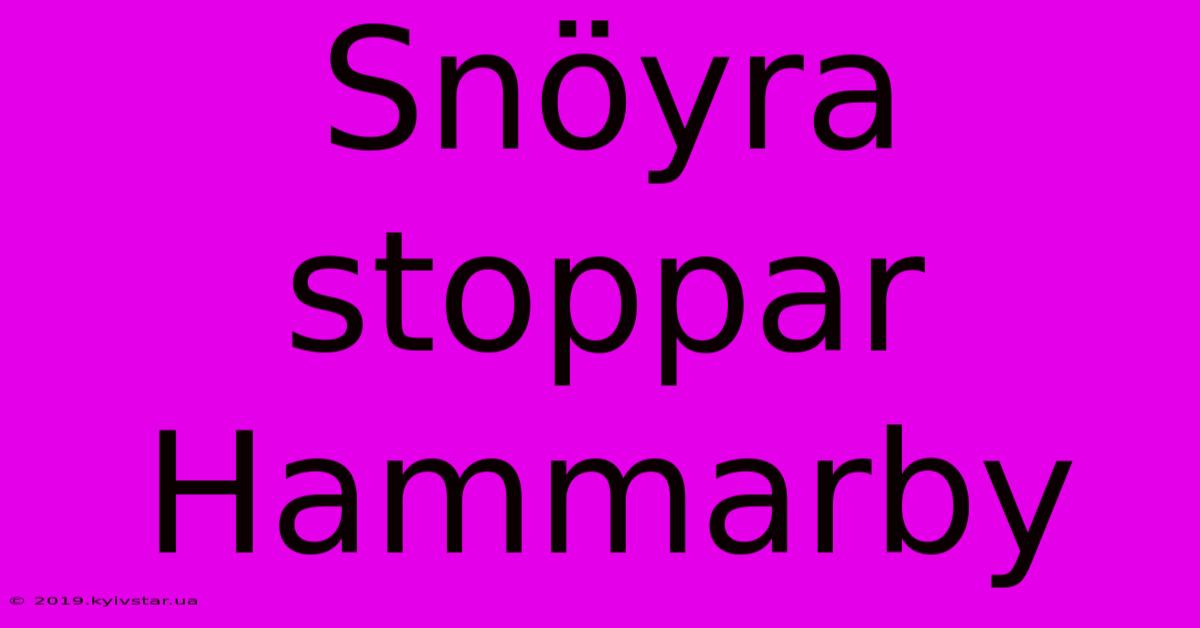 Snöyra Stoppar Hammarby