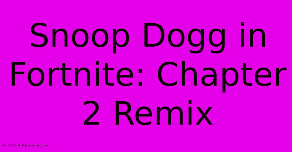 Snoop Dogg In Fortnite: Chapter 2 Remix