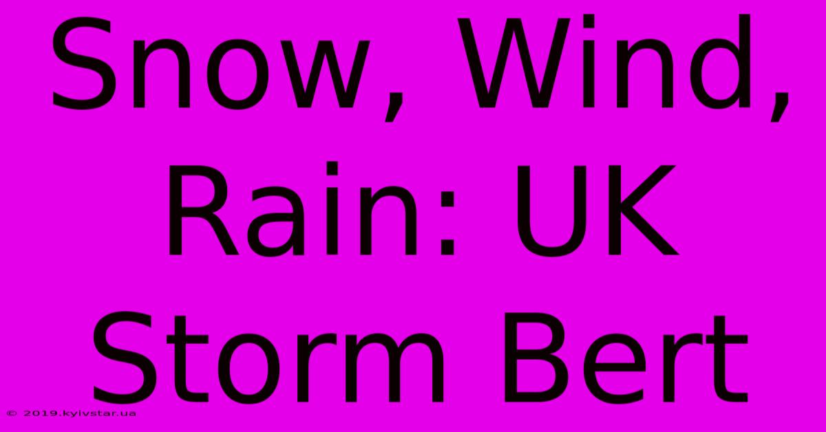 Snow, Wind, Rain: UK Storm Bert