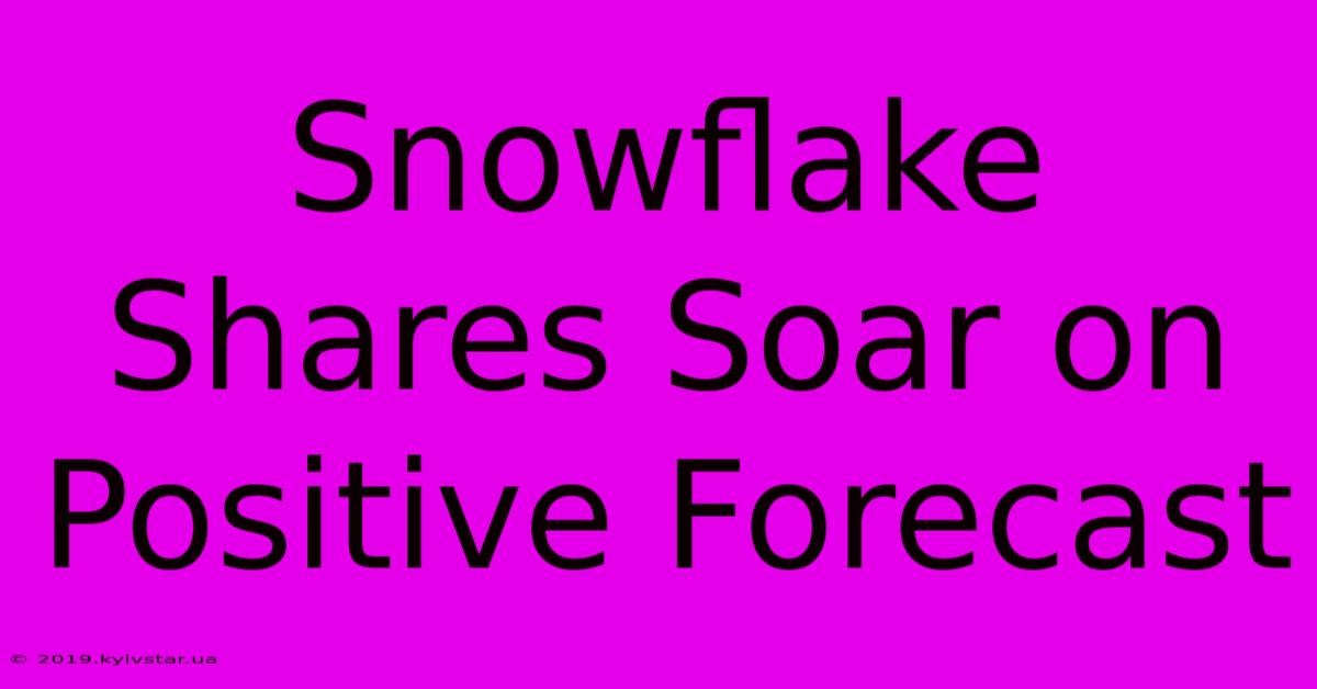 Snowflake Shares Soar On Positive Forecast