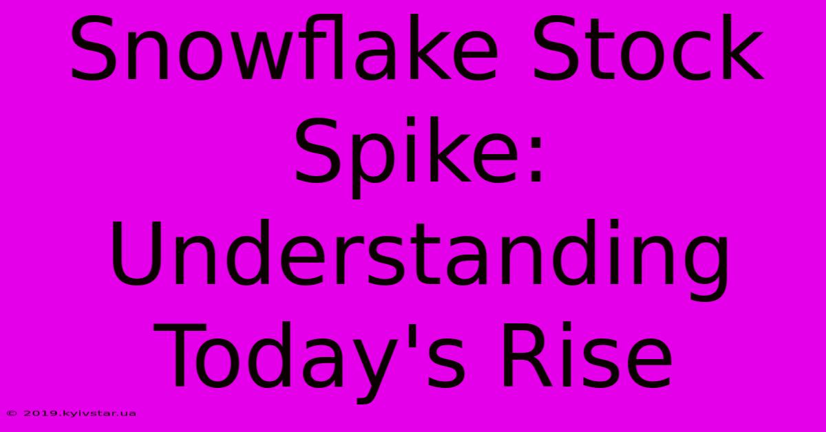 Snowflake Stock Spike: Understanding Today's Rise