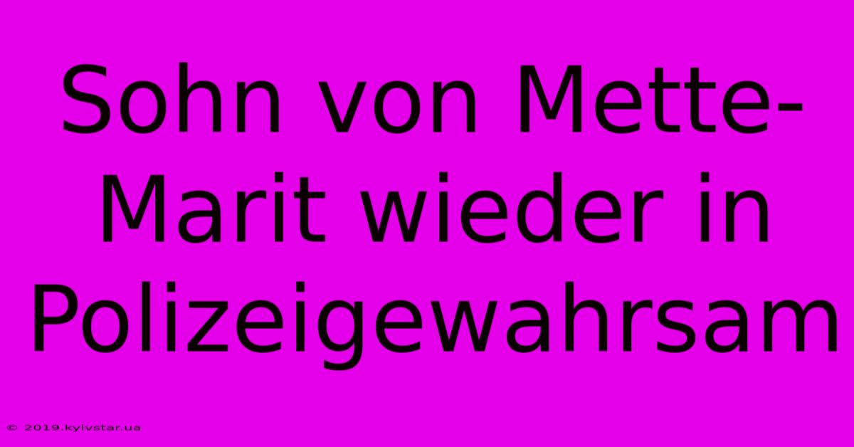 Sohn Von Mette-Marit Wieder In Polizeigewahrsam