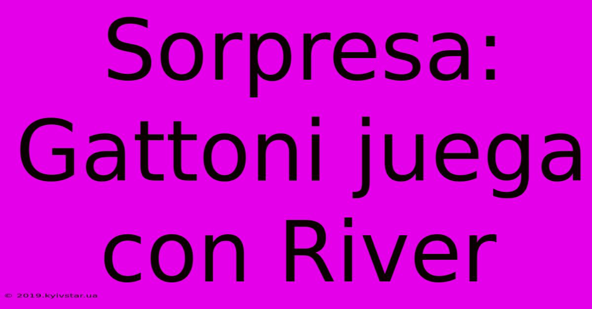 Sorpresa: Gattoni Juega Con River