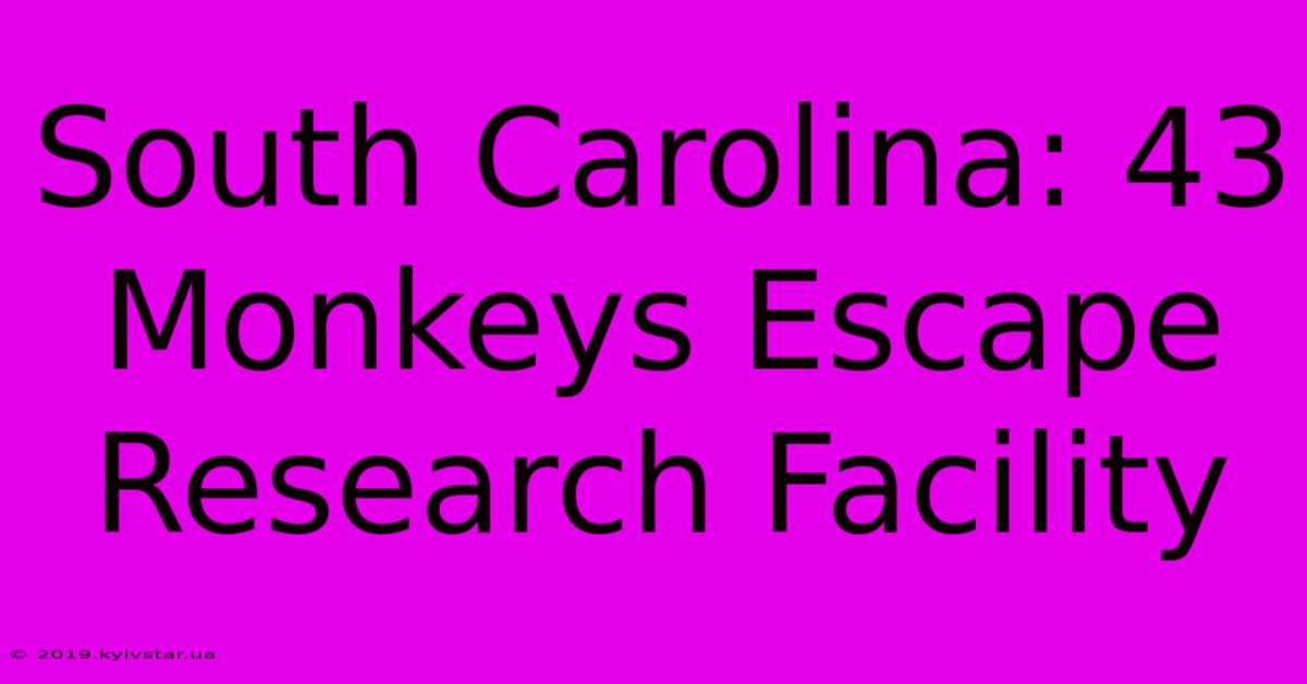 South Carolina: 43 Monkeys Escape Research Facility