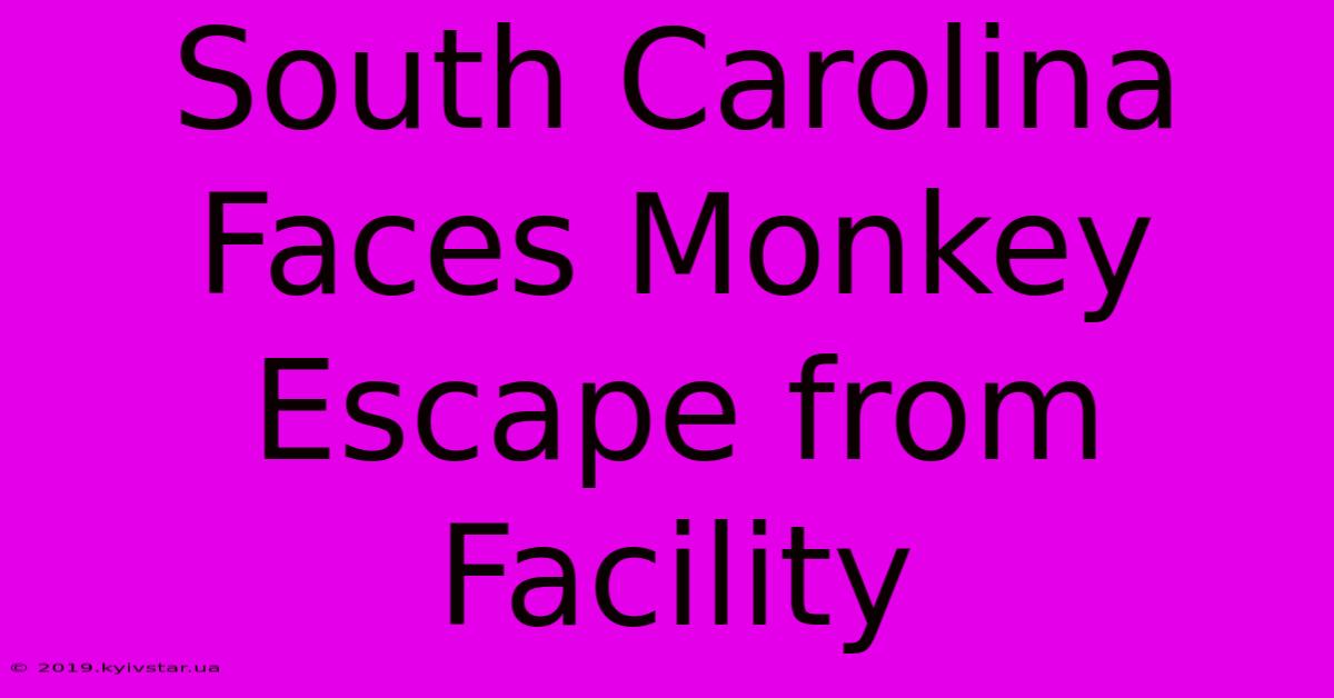 South Carolina Faces Monkey Escape From Facility