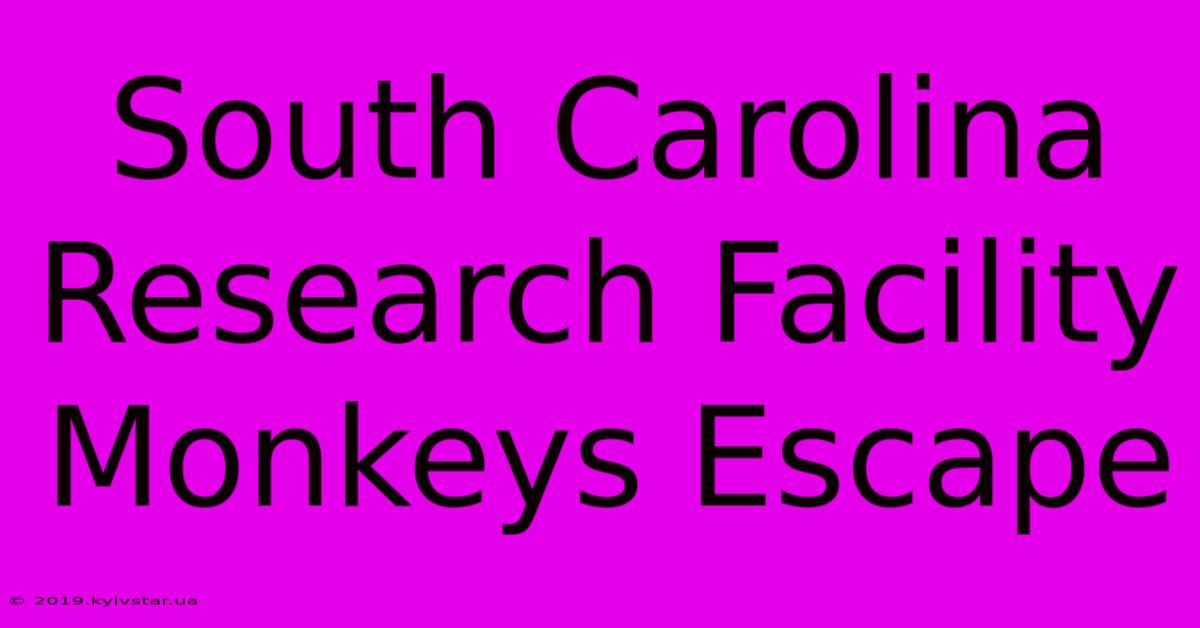 South Carolina Research Facility Monkeys Escape