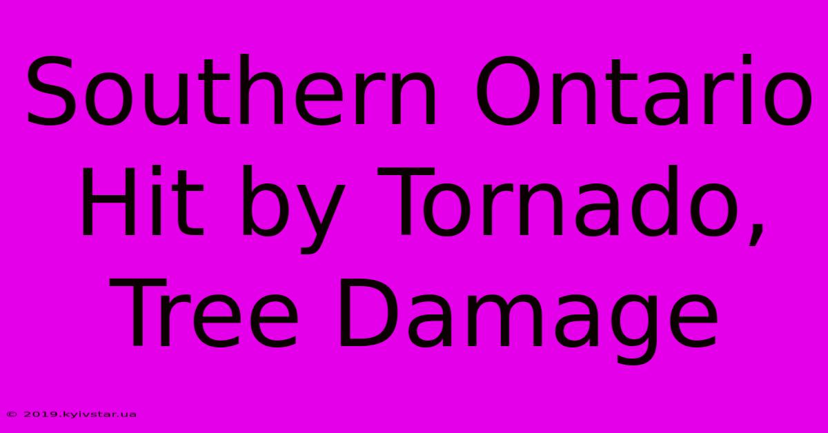 Southern Ontario Hit By Tornado, Tree Damage