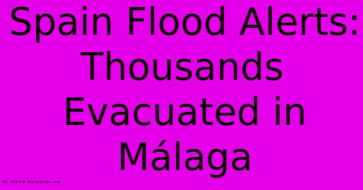 Spain Flood Alerts: Thousands Evacuated In Málaga