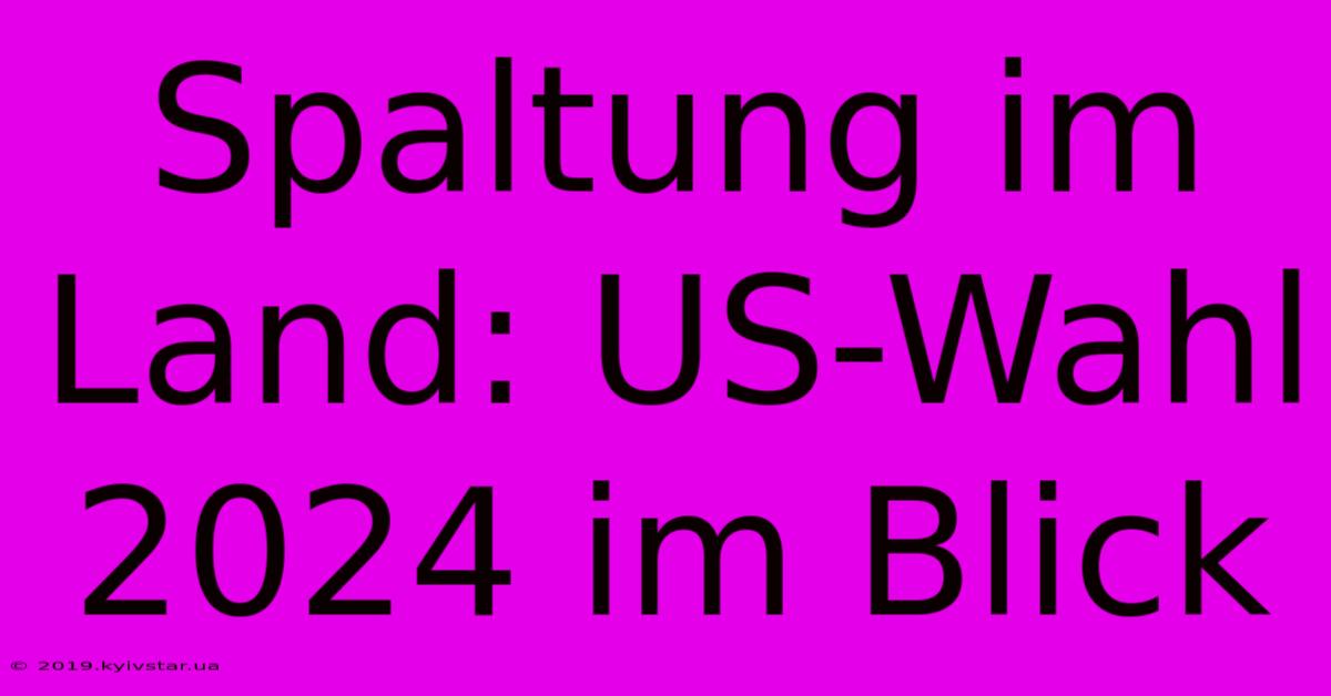 Spaltung Im Land: US-Wahl 2024 Im Blick 