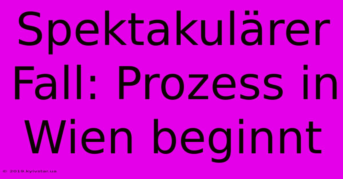 Spektakulärer Fall: Prozess In Wien Beginnt