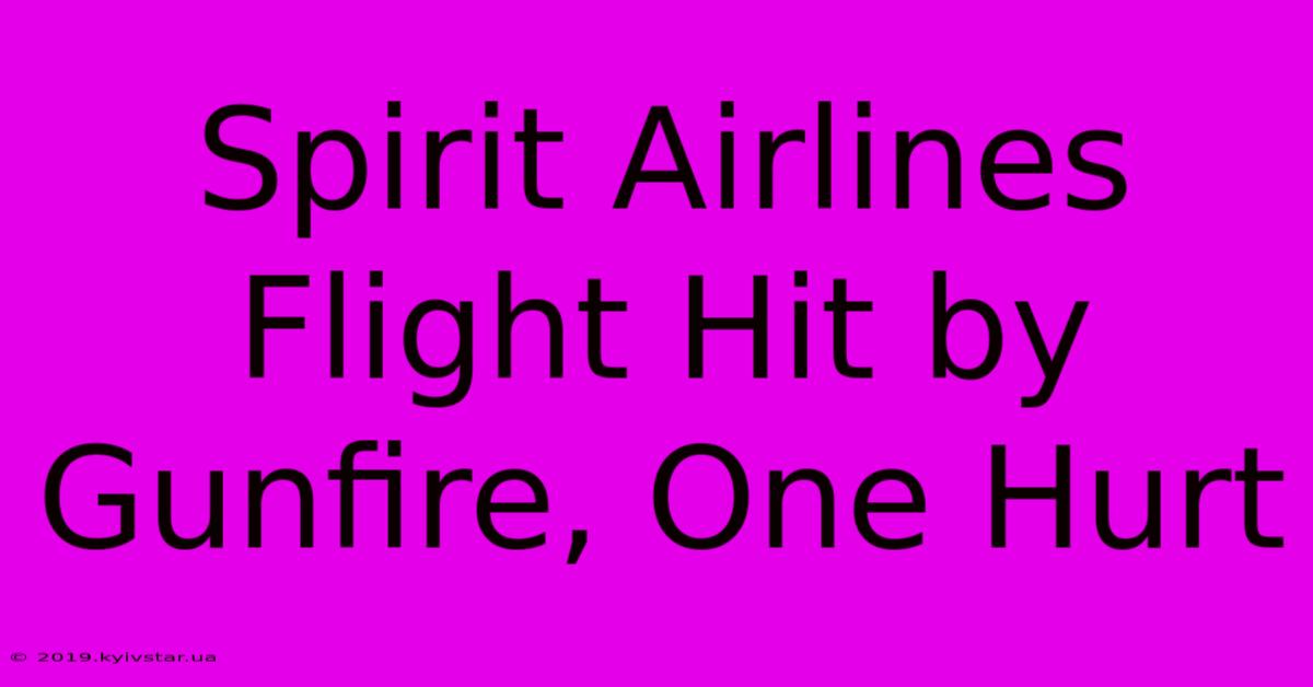 Spirit Airlines Flight Hit By Gunfire, One Hurt