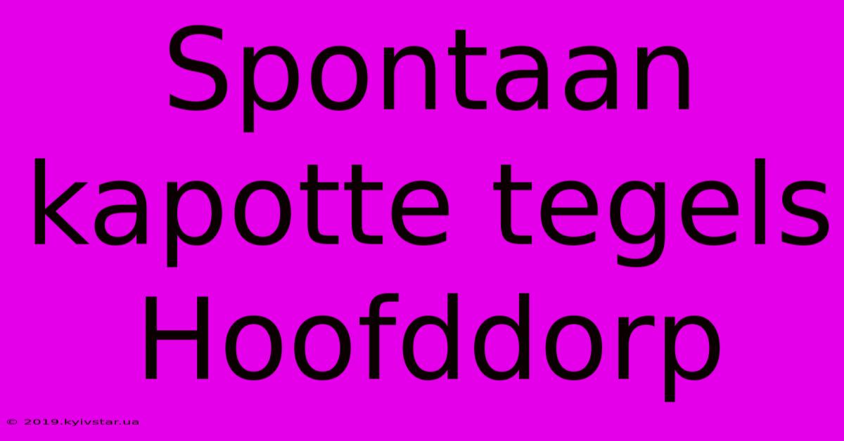 Spontaan Kapotte Tegels Hoofddorp