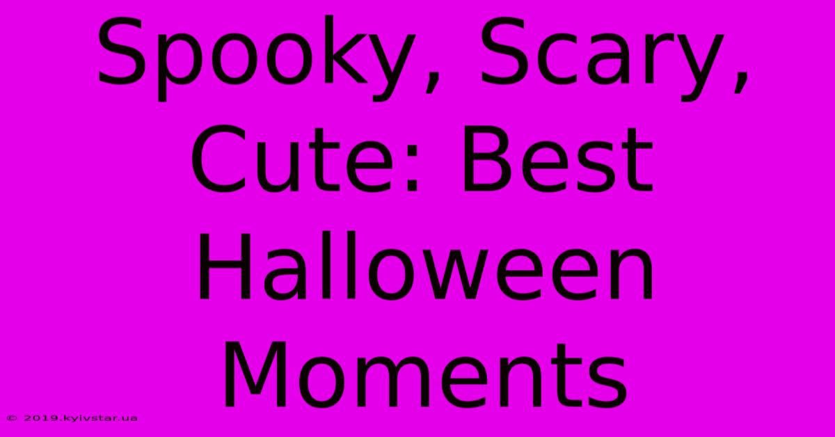 Spooky, Scary, Cute: Best Halloween Moments 