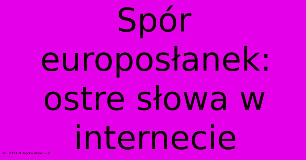 Spór Europosłanek: Ostre Słowa W Internecie