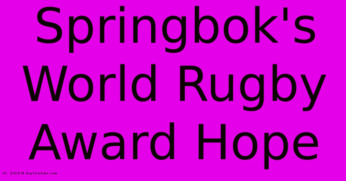 Springbok's World Rugby Award Hope