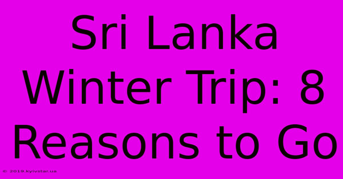 Sri Lanka Winter Trip: 8 Reasons To Go