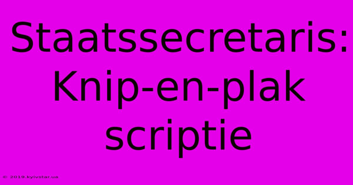 Staatssecretaris: Knip-en-plak Scriptie