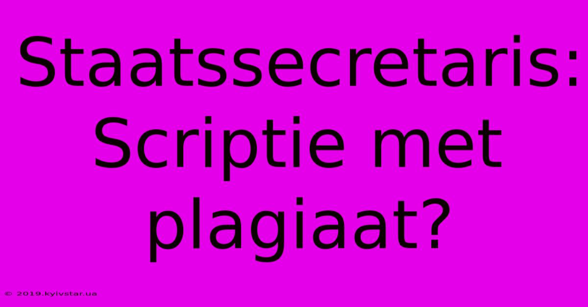 Staatssecretaris:  Scriptie Met Plagiaat?