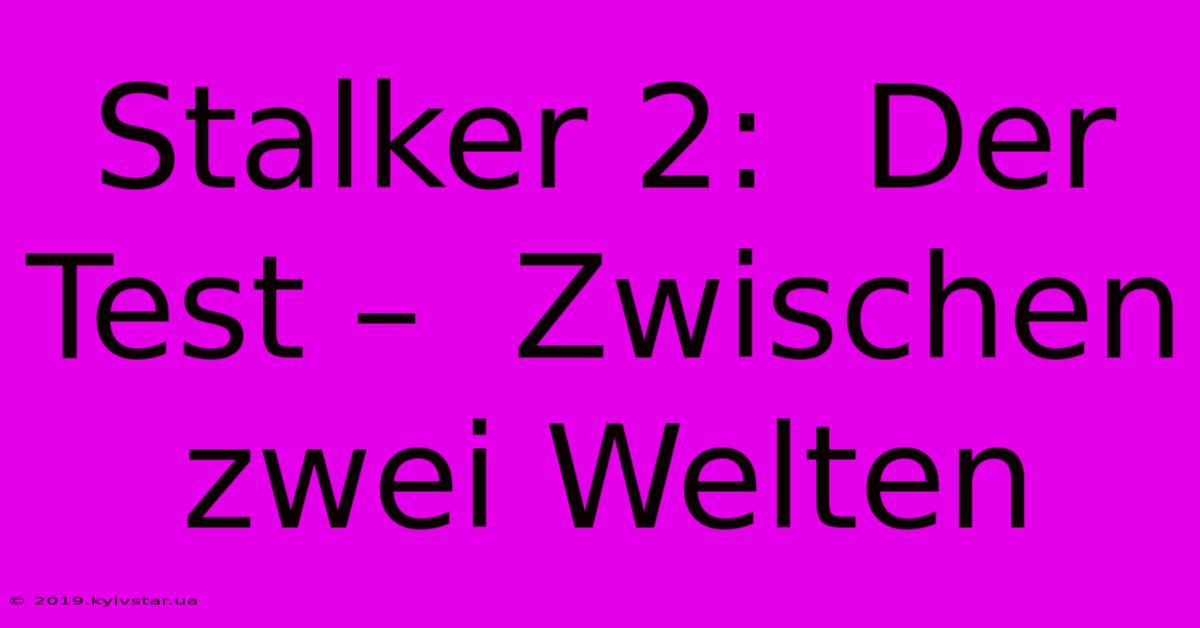 Stalker 2:  Der Test –  Zwischen Zwei Welten