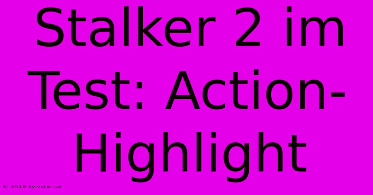 Stalker 2 Im Test: Action-Highlight