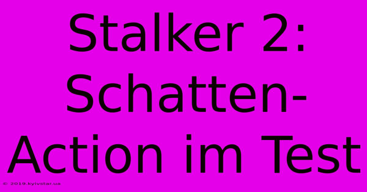 Stalker 2: Schatten-Action Im Test