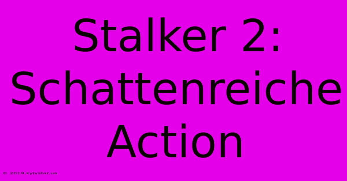 Stalker 2: Schattenreiche Action