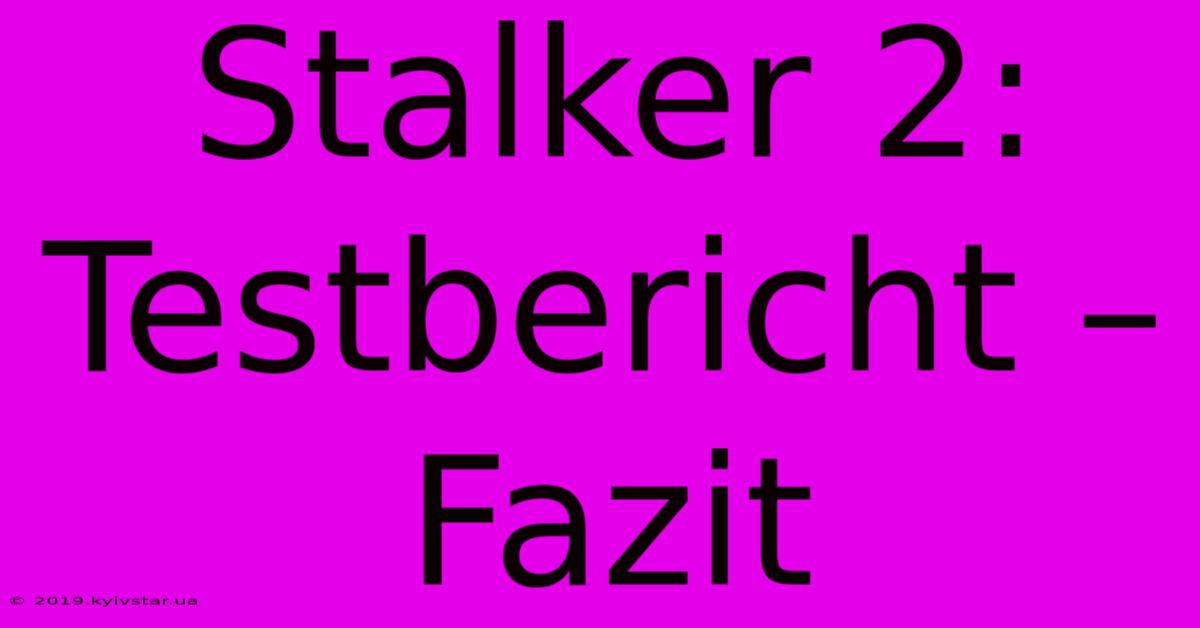 Stalker 2: Testbericht – Fazit