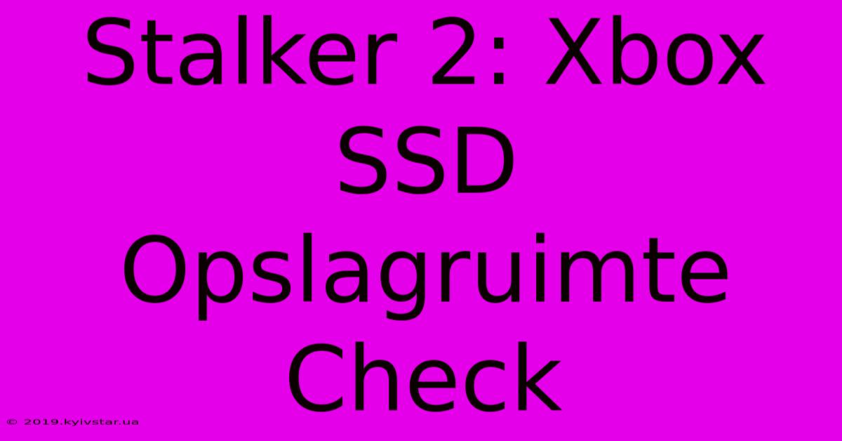 Stalker 2: Xbox SSD Opslagruimte Check