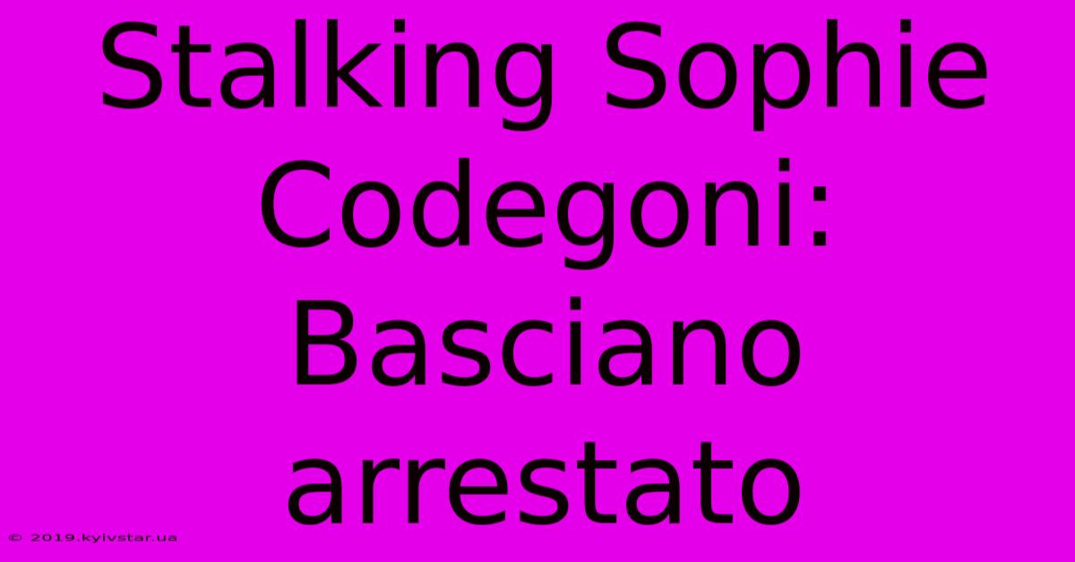 Stalking Sophie Codegoni: Basciano Arrestato