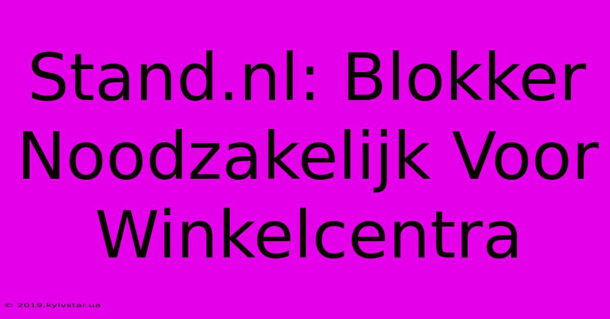 Stand.nl: Blokker Noodzakelijk Voor Winkelcentra 