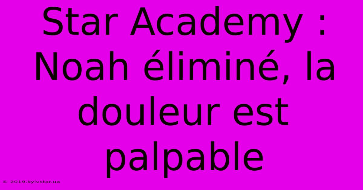 Star Academy : Noah Éliminé, La Douleur Est Palpable