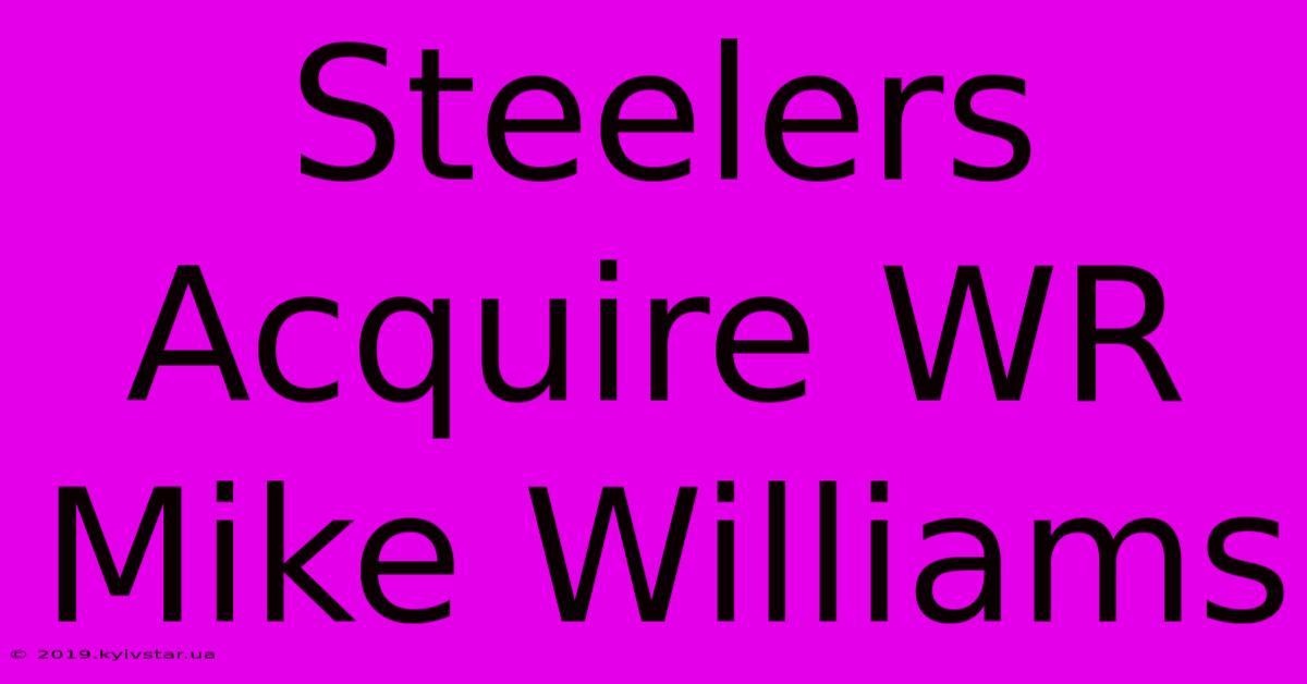 Steelers Acquire WR Mike Williams