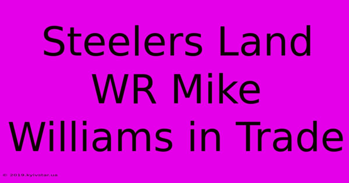 Steelers Land WR Mike Williams In Trade 