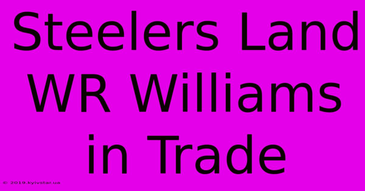 Steelers Land WR Williams In Trade 