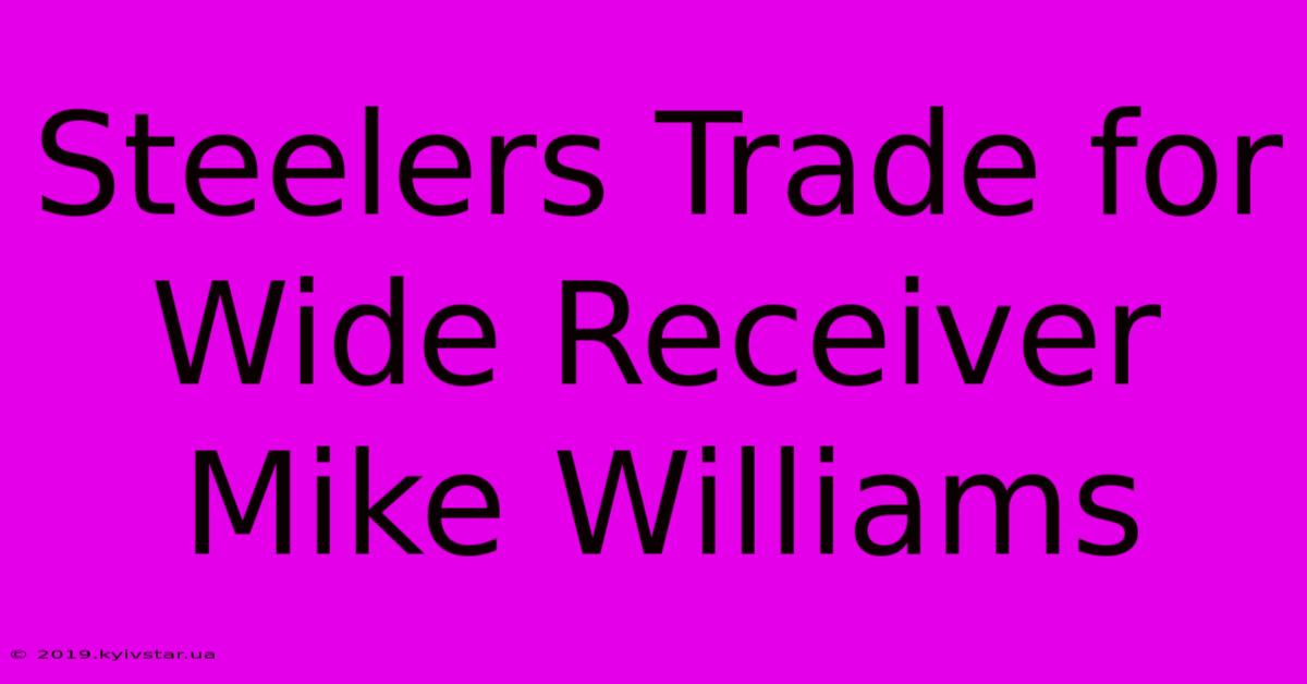 Steelers Trade For Wide Receiver Mike Williams