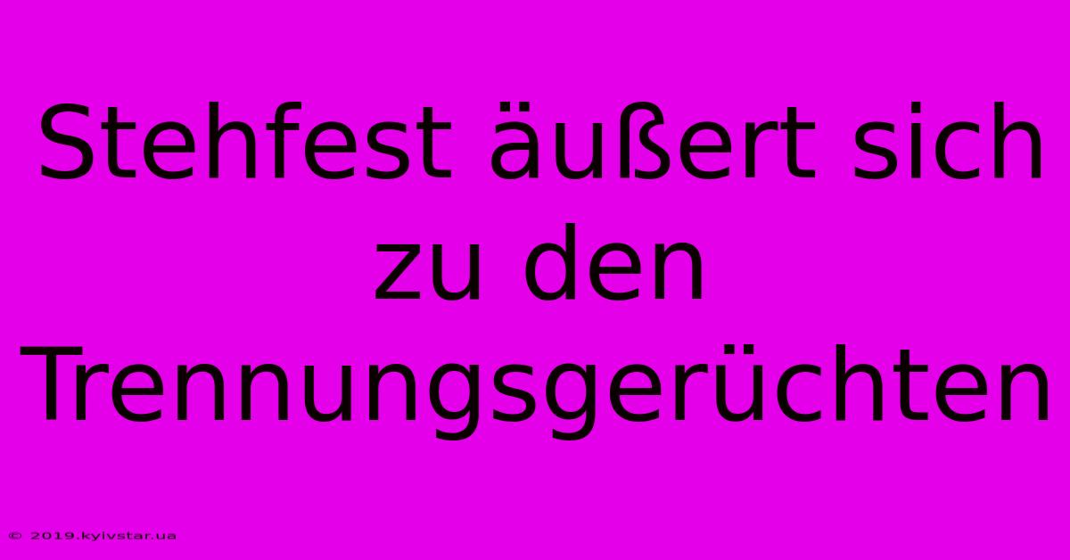 Stehfest Äußert Sich Zu Den Trennungsgerüchten