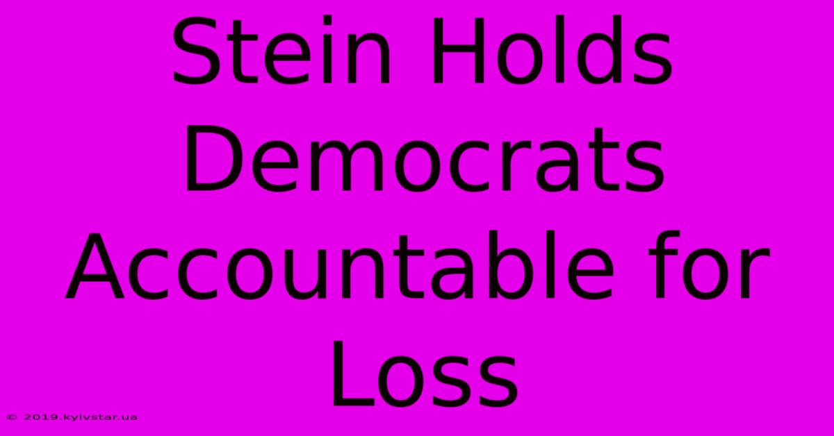 Stein Holds Democrats Accountable For Loss 