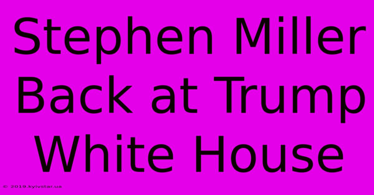 Stephen Miller Back At Trump White House